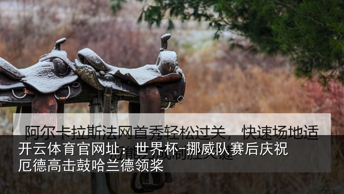 开云体育官网址：世界杯-挪威队赛后庆祝厄德高击鼓哈兰德领桨