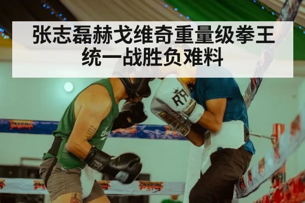 张志磊赫戈维奇重量级拳王统一战胜负难料